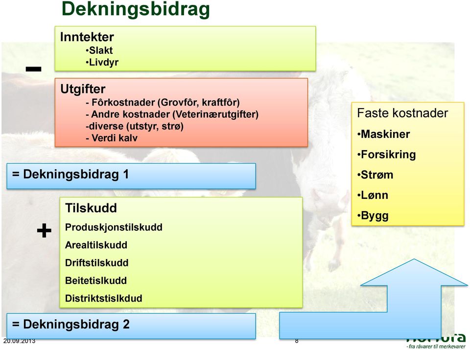 Dekningsbidrag 1 + Tilskudd Produskjonstilskudd Arealtilskudd Driftstilskudd