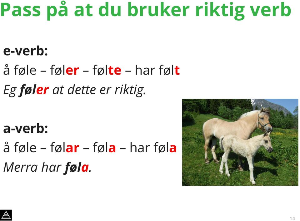 Eg føler at dette er riktig.