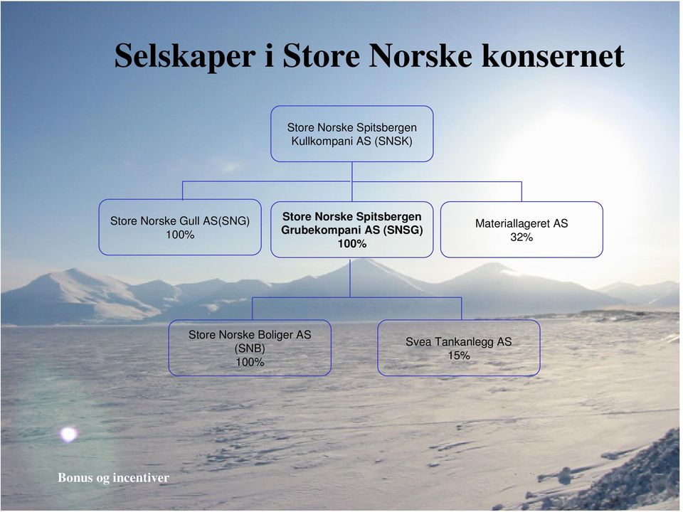 Norske Spitsbergen Grubekompani AS (SNSG) 100%