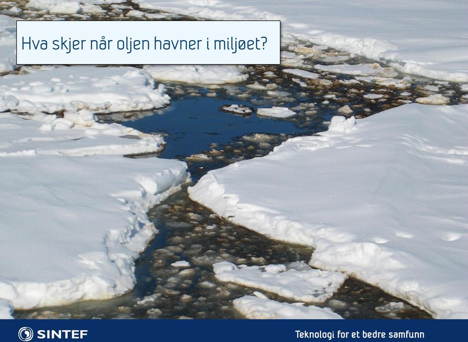 miljøet?