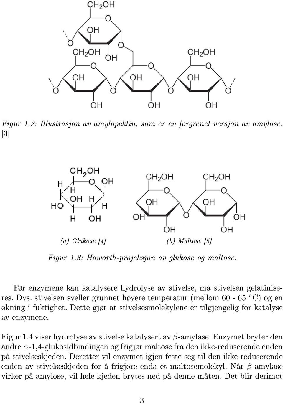 Dette gjør at stivelsesmolekylene er tilgjengelig for katalyse av enzymene. Figur 1.4 viser hydrolyse av stivelse katalysert av β-amylase.