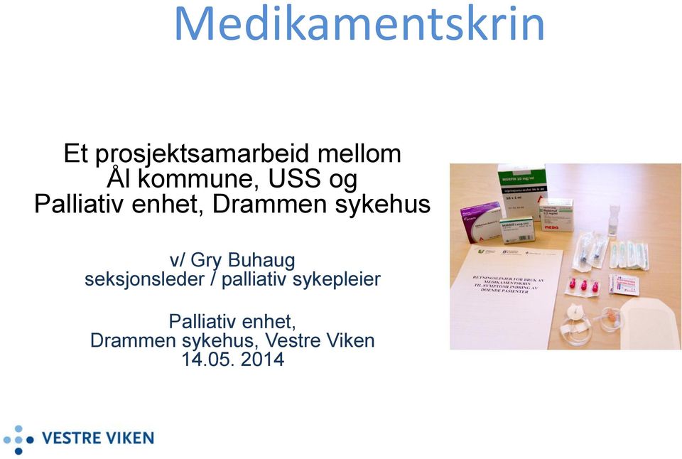 Gry Buhaug seksjonsleder / palliativ sykepleier