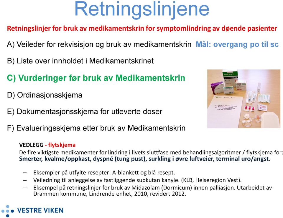 flytskjema De fire viktigste medikamenter for lindring i livets sluttfase med behandlingsalgoritmer / flytskjema for: Smerter, kvalme/oppkast, dyspné (tung pust), surkling i øvre luftveier, terminal