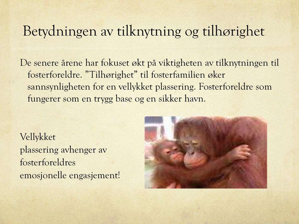 Tilhørighet til fosterfamilien øker sannsynligheten for en vellykket plassering.