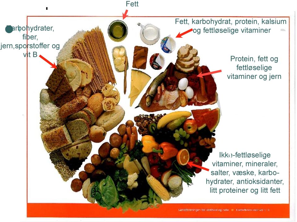 fett og fettløselige vitaminer og jern Ikke-fettløselige vitaminer,