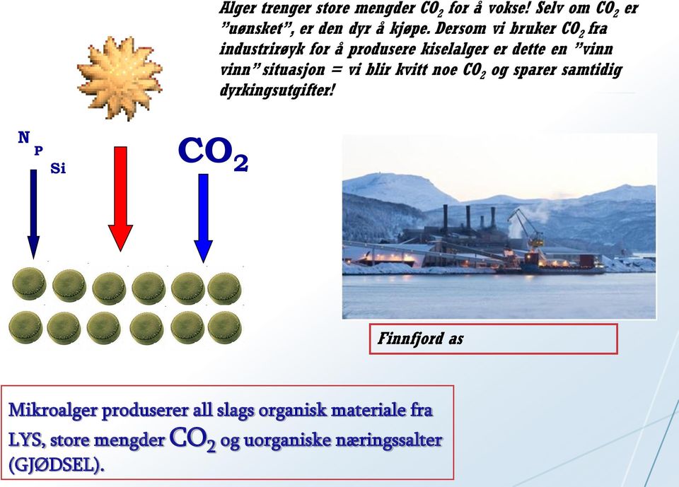 = vi blir kvitt noe CO 2 og sparer samtidig dyrkingsutgifter!