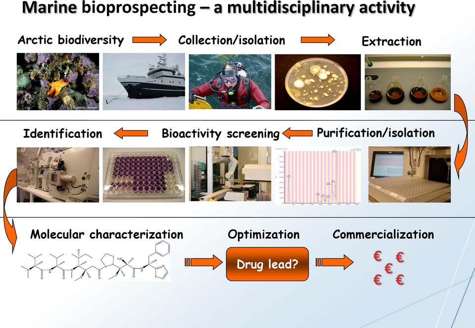 Identification Bioactivity screening