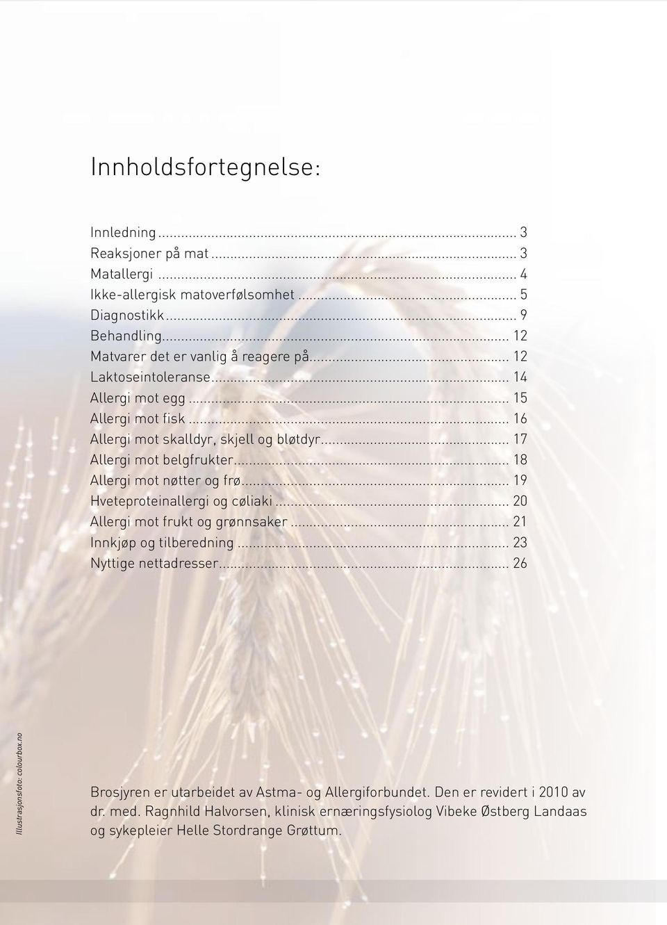 .. 19 Hveteproteinallergi og cøliaki... 20 Allergi mot frukt og grønnsaker... 21 Innkjøp og tilberedning... 23 Nyttige nettadresser... 26 Illustrasjonsfoto: colourbox.