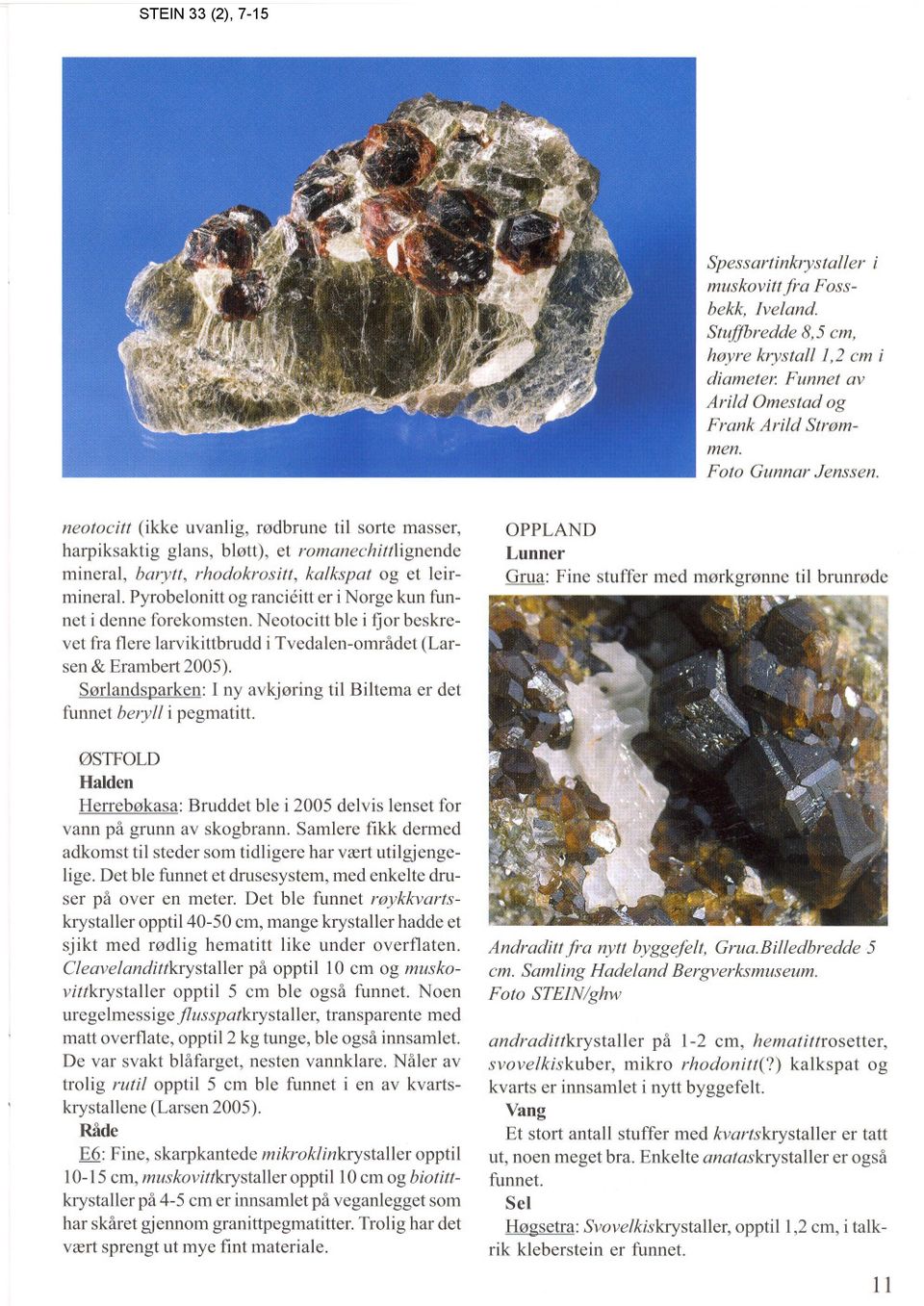 Pyrobelonitt og rancieitt er i Norge kun funnet i denne forekomsten. Neotocitt ble i fjor beskrevet fra flere larvikittbrudd i Tvedalen-området (Larsen & Erambert 2005).
