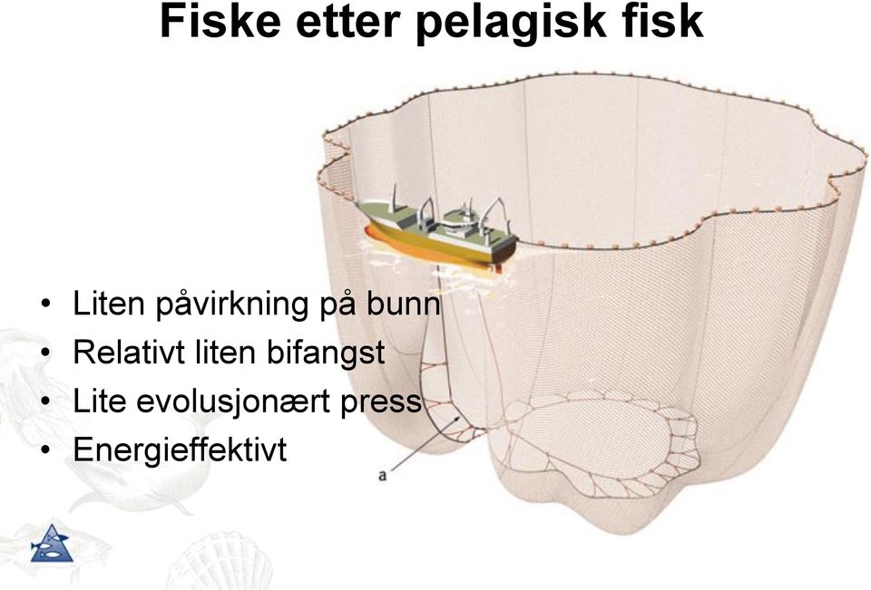 Relativt liten bifangst Lite