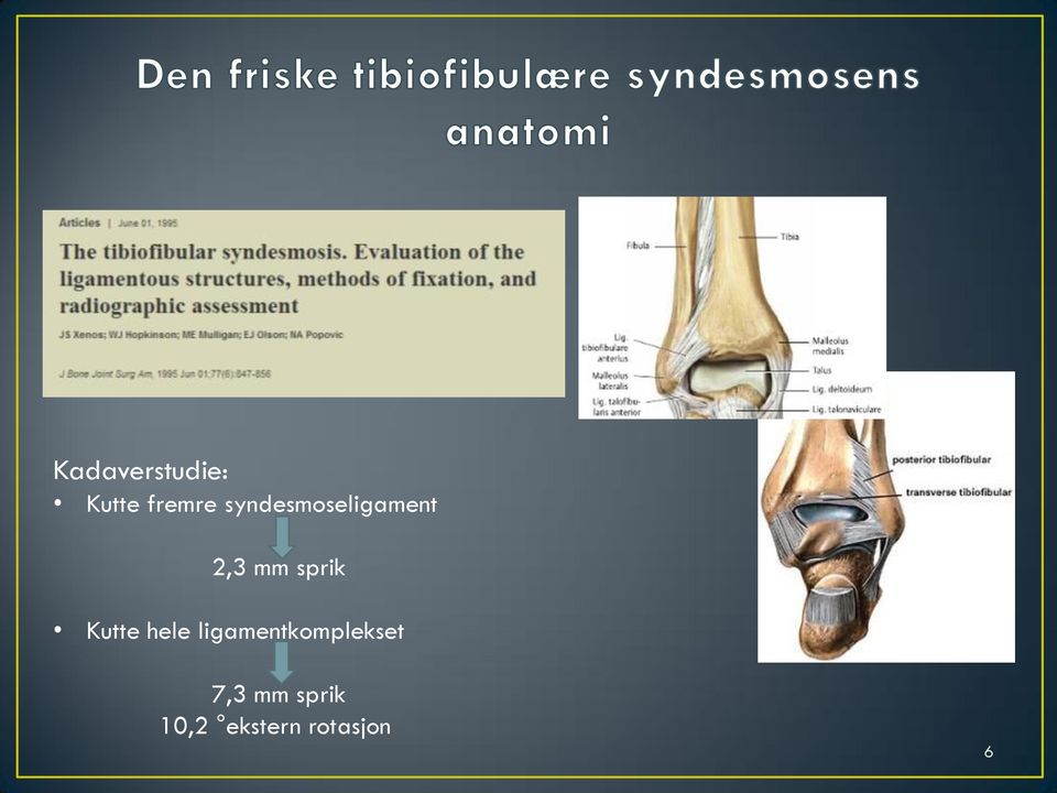 Kutte hele ligamentkomplekset