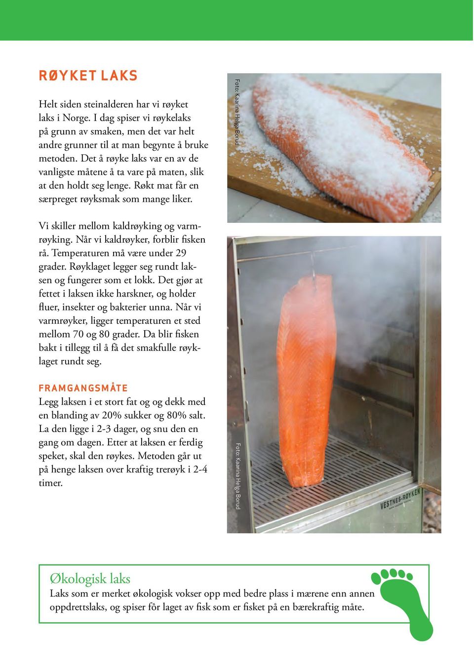 Når vi kaldrøyker, forblir fisken rå. Temperaturen må være under 29 grader. Røyklaget legger seg rundt laksen og fungerer som et lokk.
