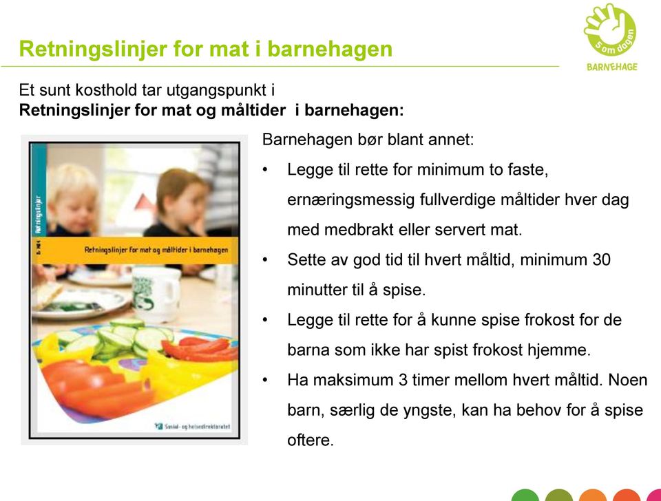 Fargerikt kosthold i barnehagen Et kurs for alle barnehageansatte - PDF  Gratis nedlasting