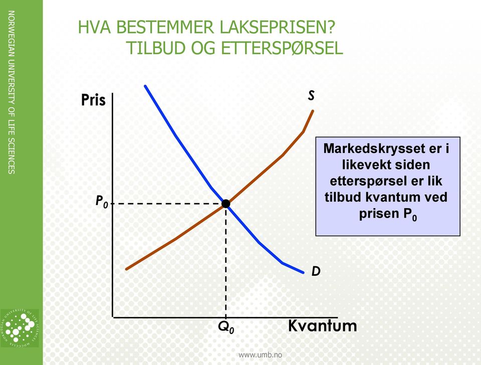 Markedskrysset er i likevekt siden