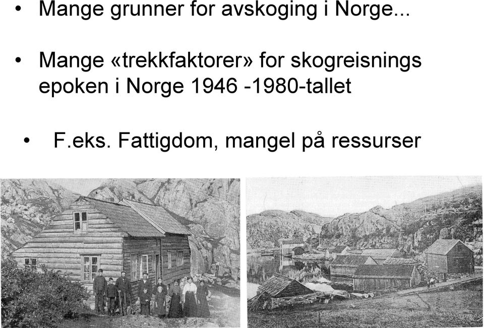 skogreisnings epoken i Norge
