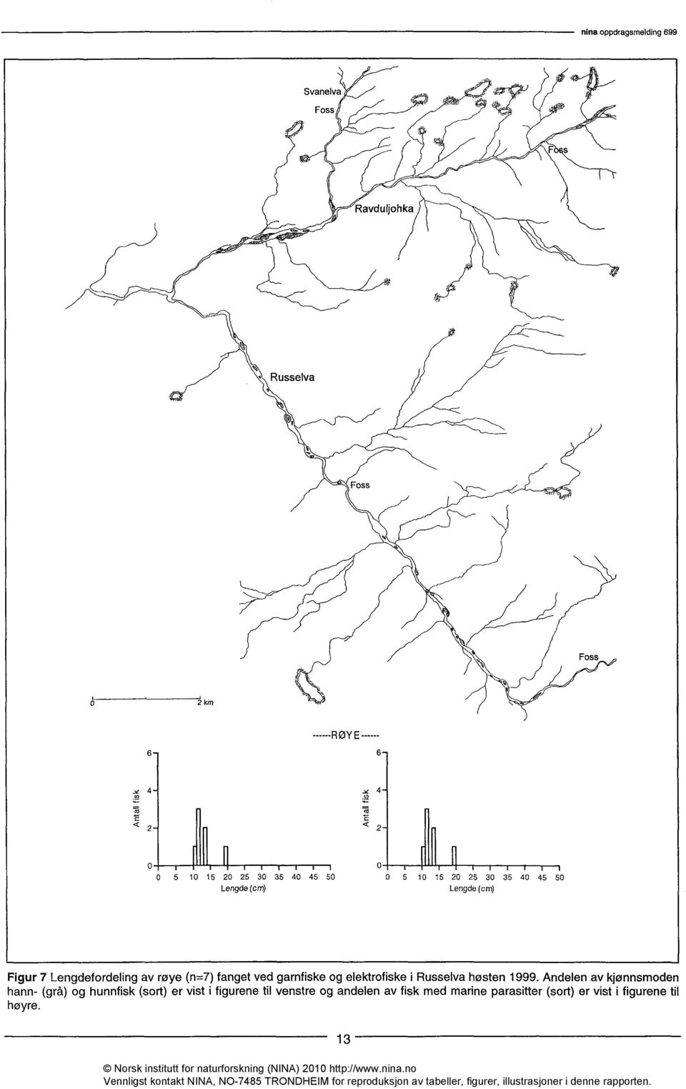 Lengdefordeling av røye (n=7) fanget ved garnfiske og elektrofiske i Russelva høsten 1999.