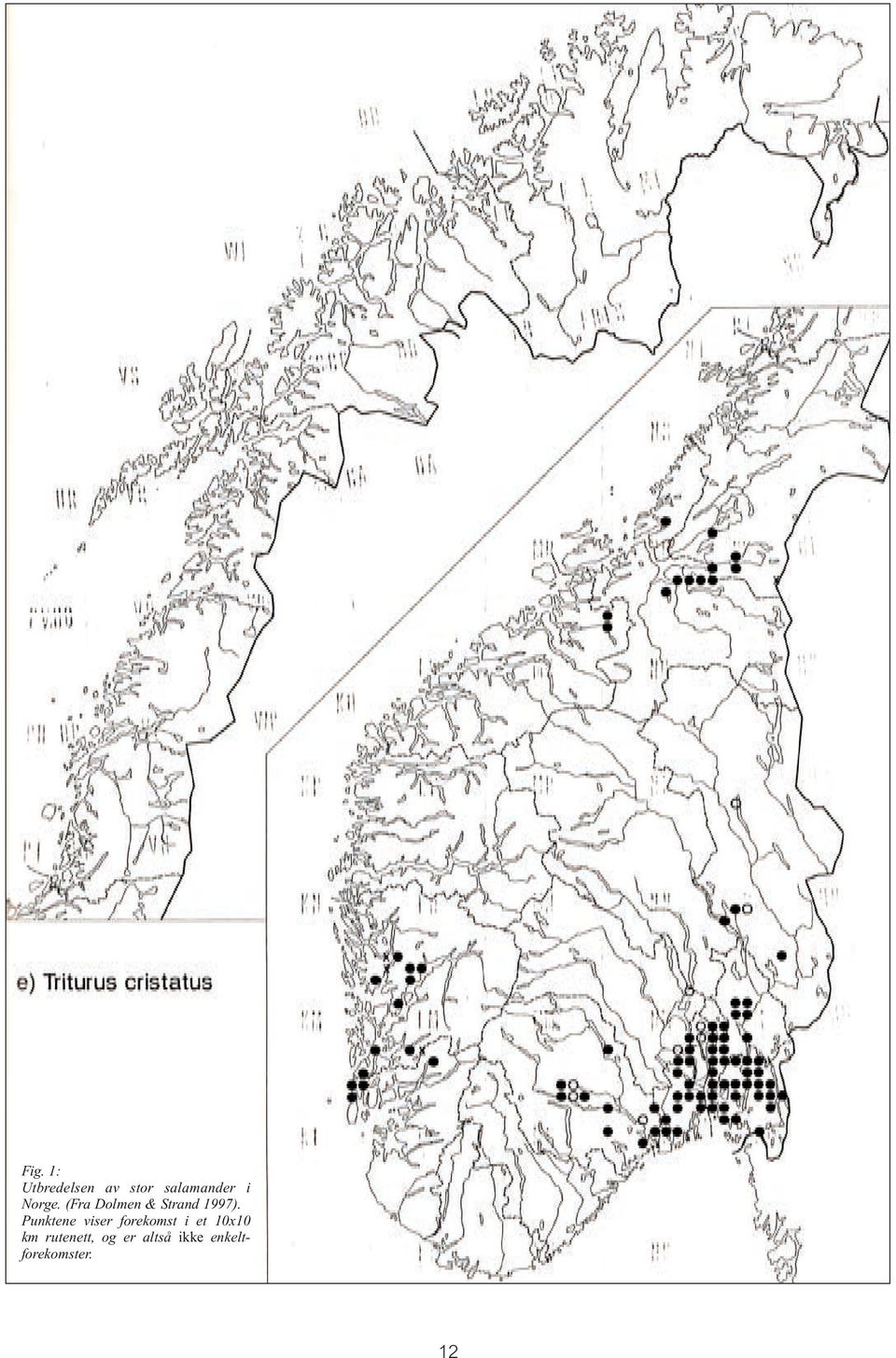 Punktene viser forekomst i et 10x10 km