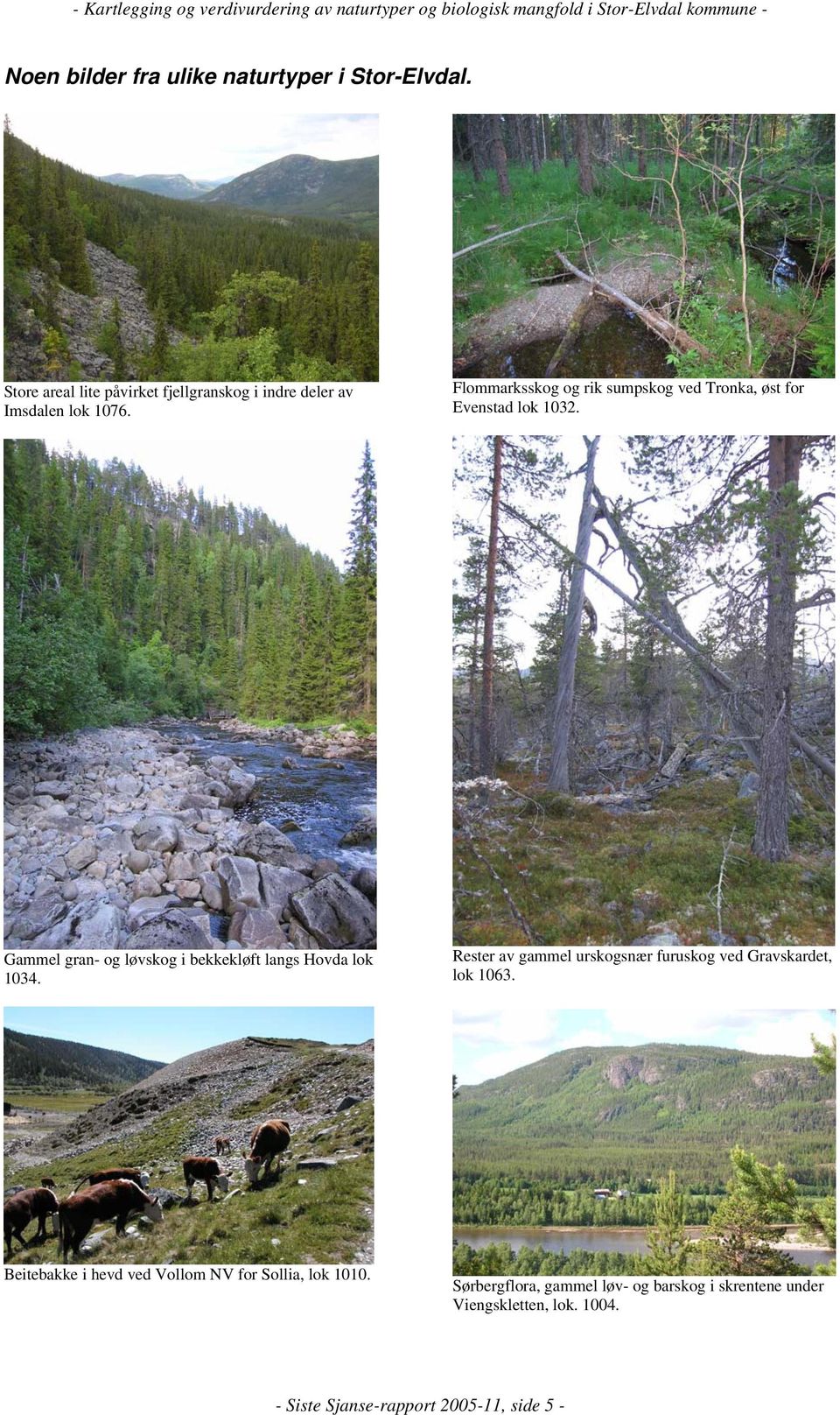 Gammel gran- og løvskog i bekkekløft langs Hovda lok 1034. Rester av gammel urskogsnær furuskog ved Gravskardet, lok 1063.