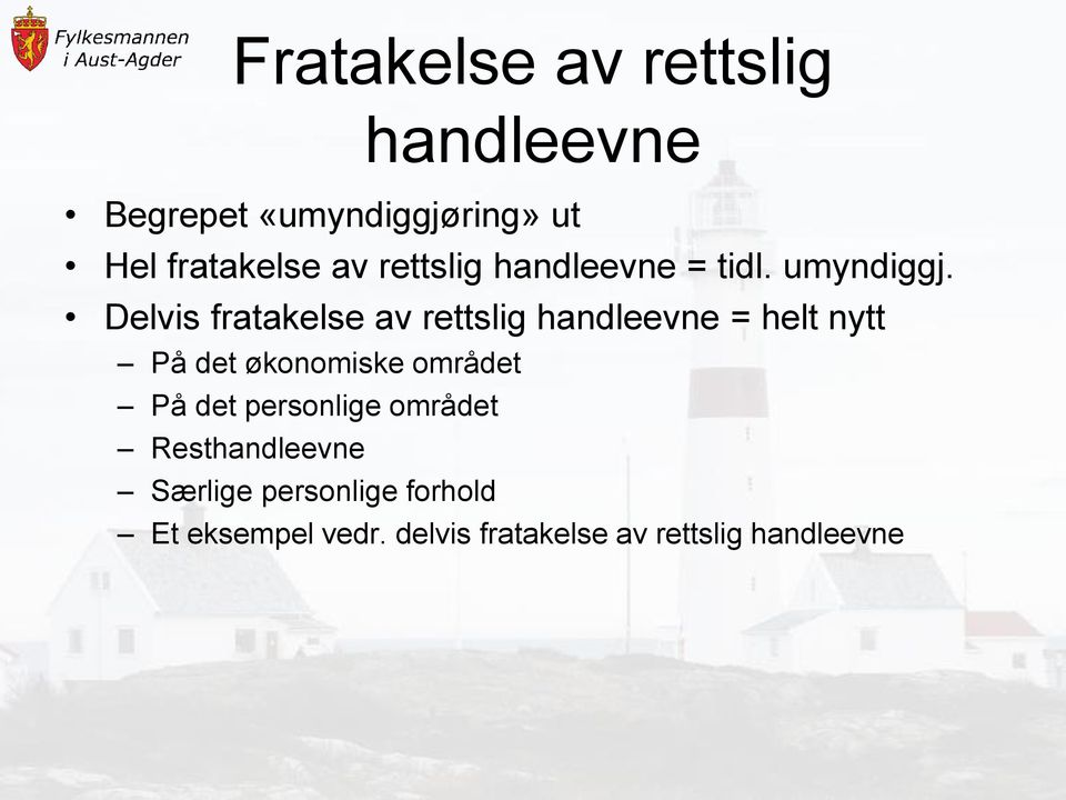 Delvis fratakelse av rettslig handleevne = helt nytt På det økonomiske området På