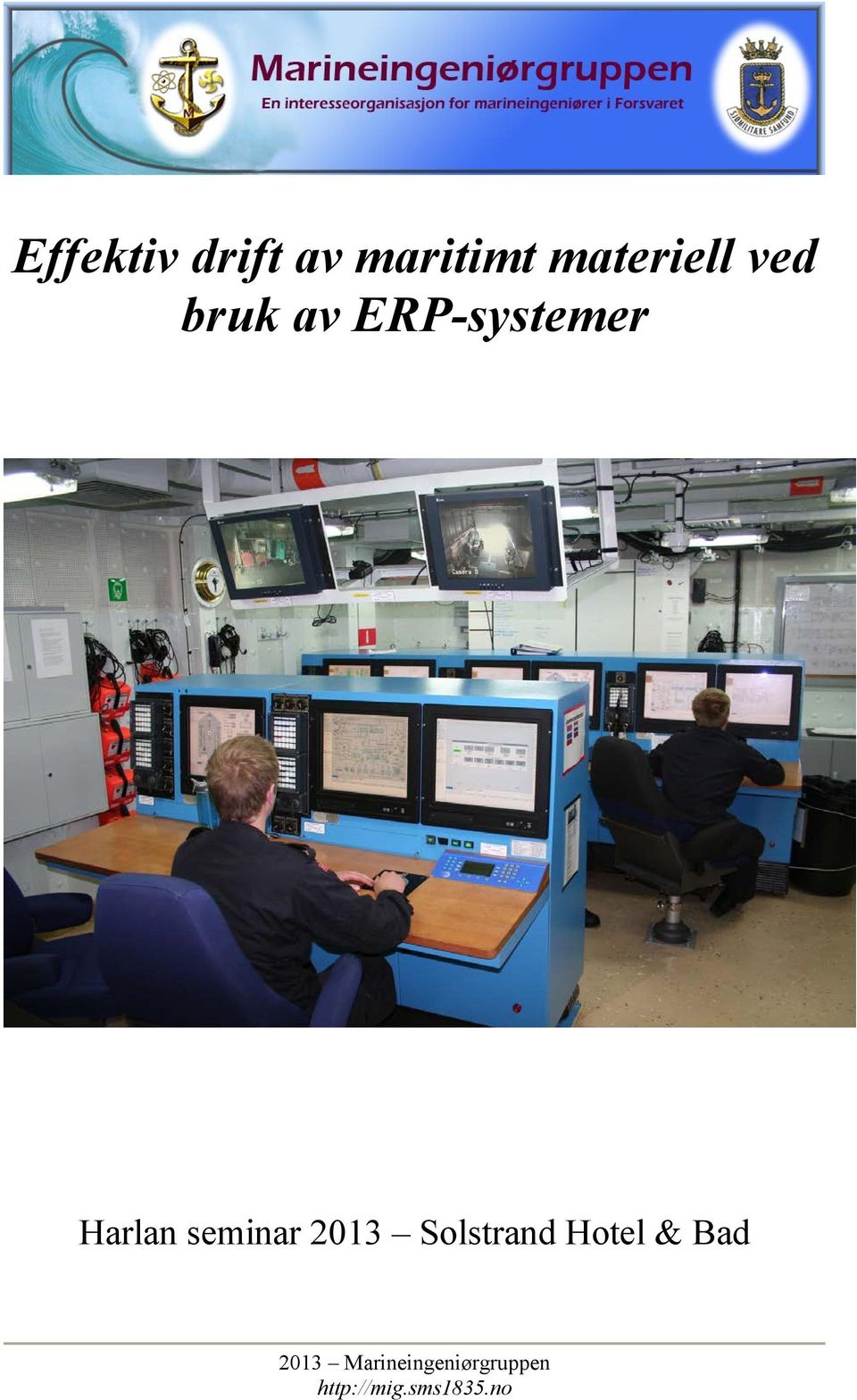 bruk av ERP-systemer