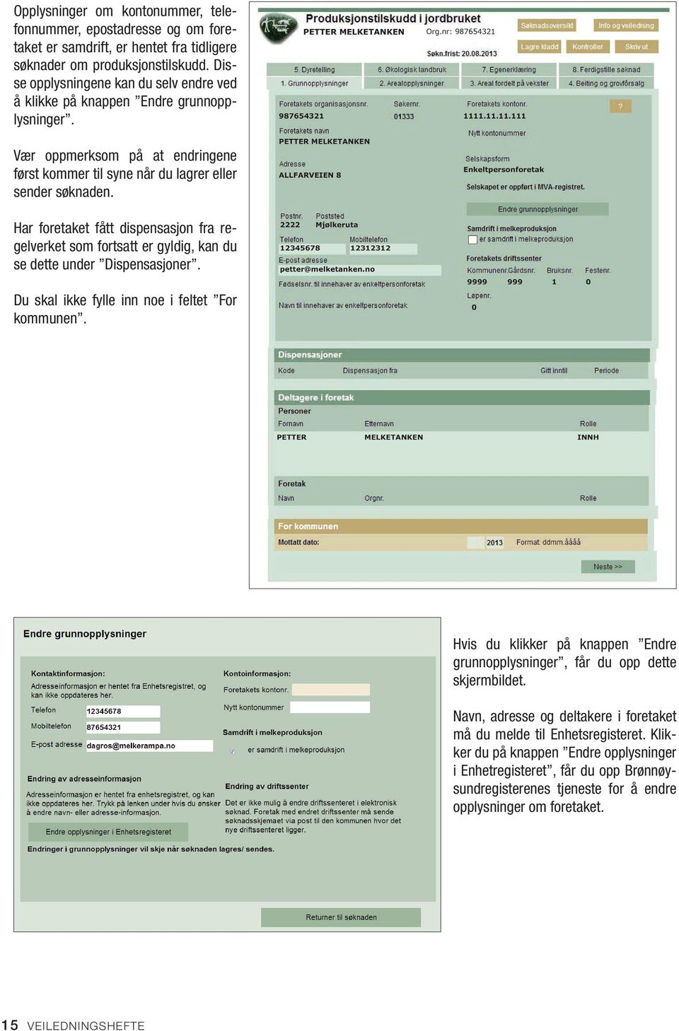 Har foretaket fått dispensasjon fra regelverket som fortsatt er gyldig, kan du se dette under Dispensasjoner. Du skal ikke fylle inn noe i feltet For kommunen.