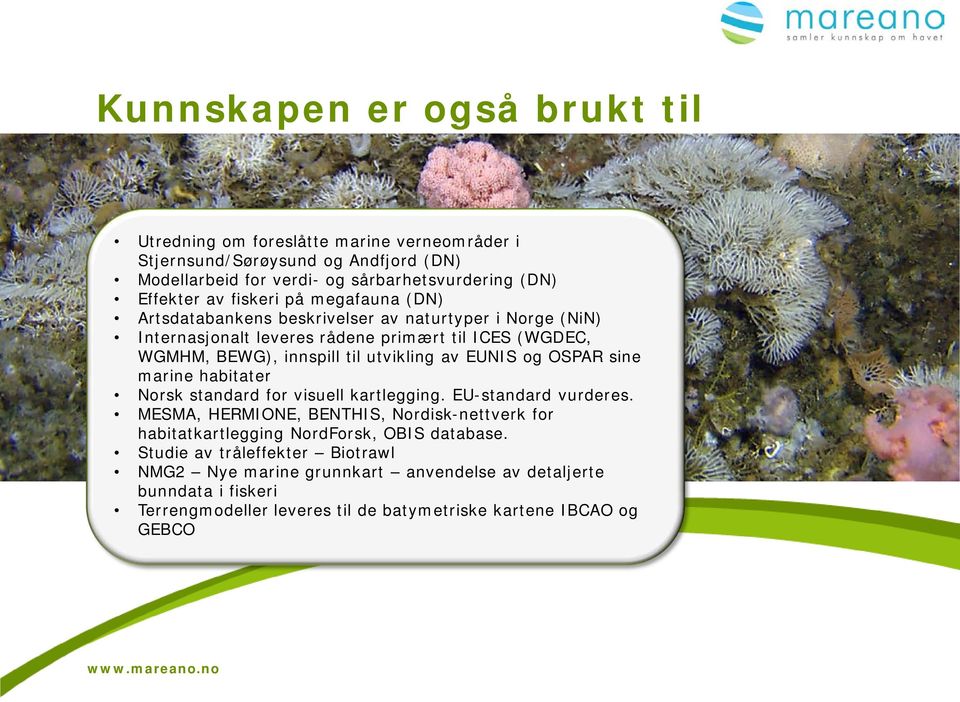 EUNIS og OSPAR sine marine habitater Norsk standard for visuell kartlegging. EU-standard vurderes.