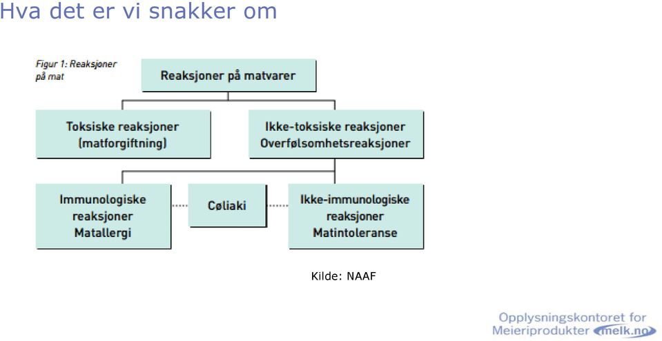 snakker