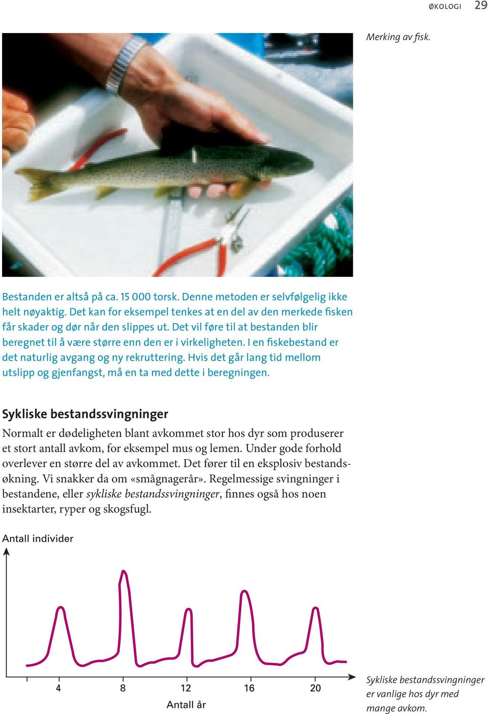 I en fiskebestand er det naturlig avgang og ny rekruttering. Hvis det går lang tid mellom utslipp og gjenfangst, må en ta med dette i beregningen.