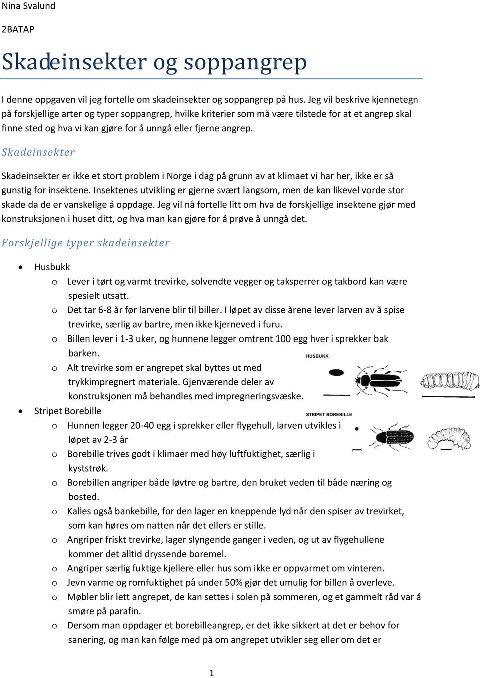 Skadeinsekter Skadeinsekter er ikke et stort problem i Norge i dag på grunn av at klimaet vi har her, ikke er så gunstig for insektene.