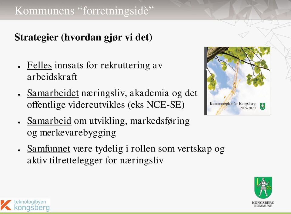 videreutvikles (eks NCE-SE) Samarbeid om utvikling, markedsføring og