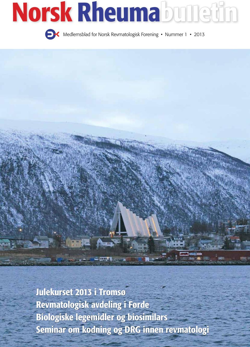 Julekurset 2013 i Tromsø Revmatologisk avdeling i Førde