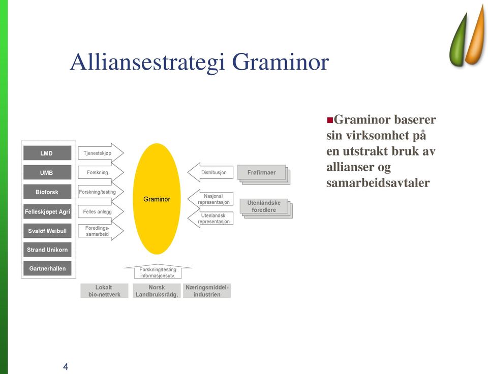 Utenlandske foredlere Graminor baserer sin virksomhet på en utstrakt bruk av allianser og samarbeidsavtaler Strand