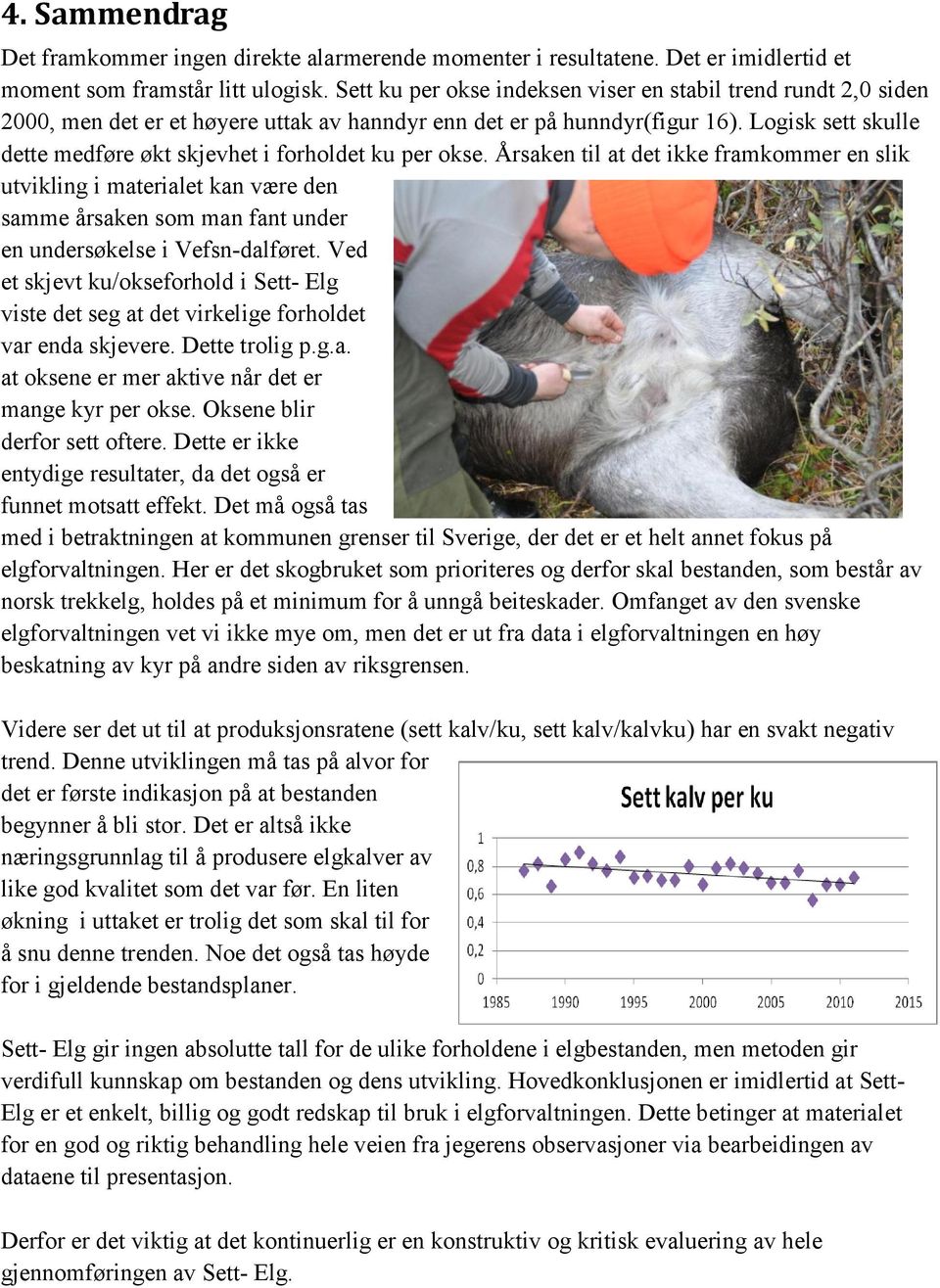 Logisk sett skulle dette medføre økt skjevhet i forholdet ku per okse.