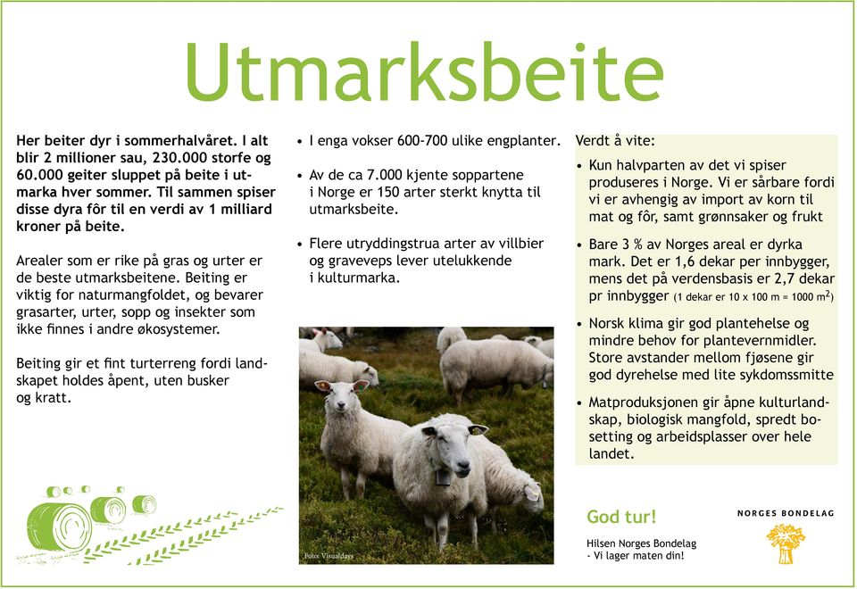 Beiting er viktig for naturmangfoldet, og bevarer grasarter, urter, sopp og insekter som ikke finnes i andre økosystemer.