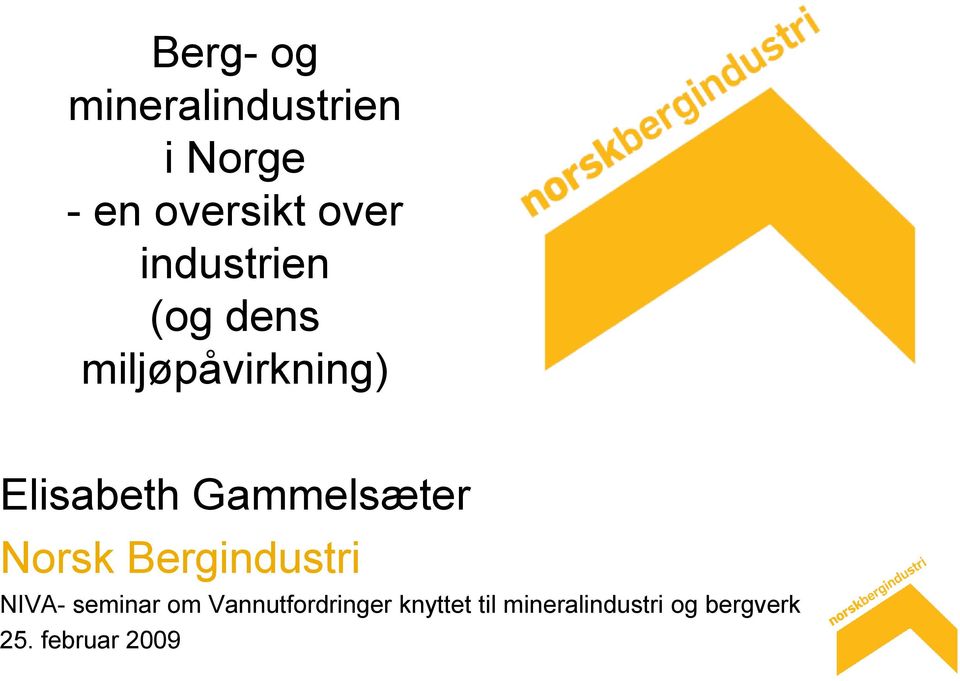 Gammelsæter Norsk Bergindustri NIVA- seminar om