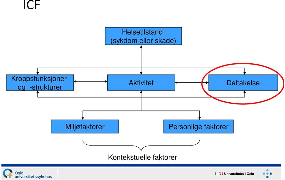 -strukturer Aktivitet Deltakelse