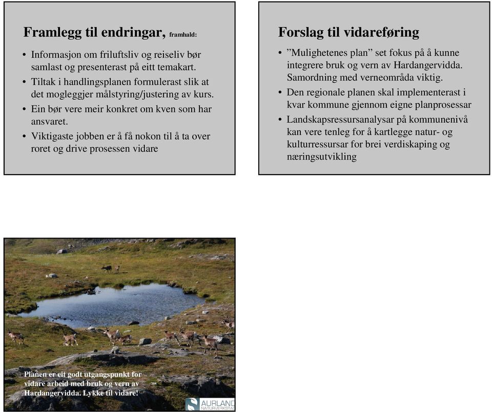 Viktigaste jobben er å få nokon til å ta over roret og drive prosessen vidare Mulighetenes plan set fokus på å kunne integrere bruk og vern av Hardangervidda. Samordning med verneområda viktig.