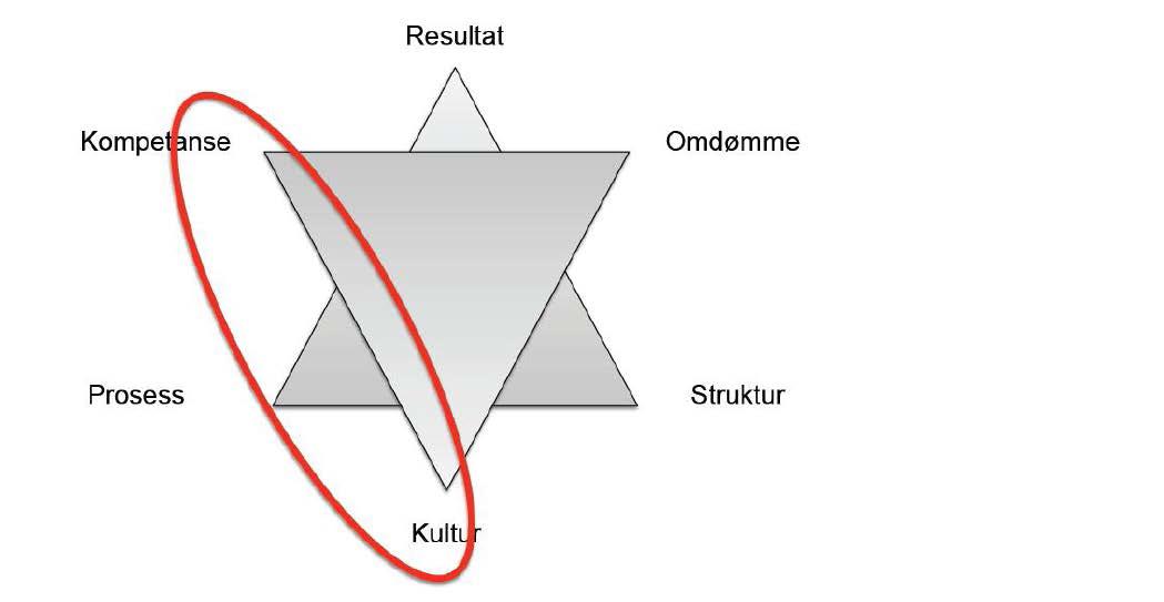 Leiestjerna for lærande organisasjoner.