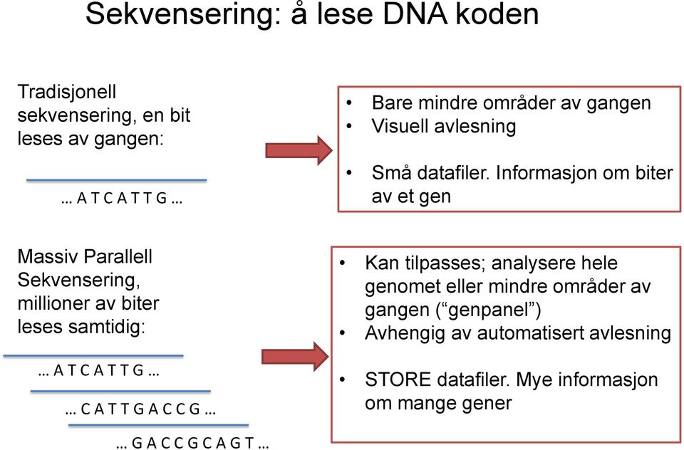 Informasjon om biter av et gen Massiv Parallell Sekvensering, millioner av biter leses samtidig: A T C A T T G C A T