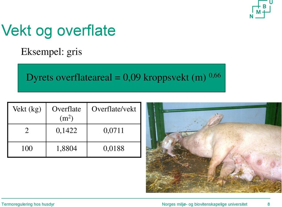 Overflate/vekt 2 0,1422 0,0711 100 1,8804 0,0188