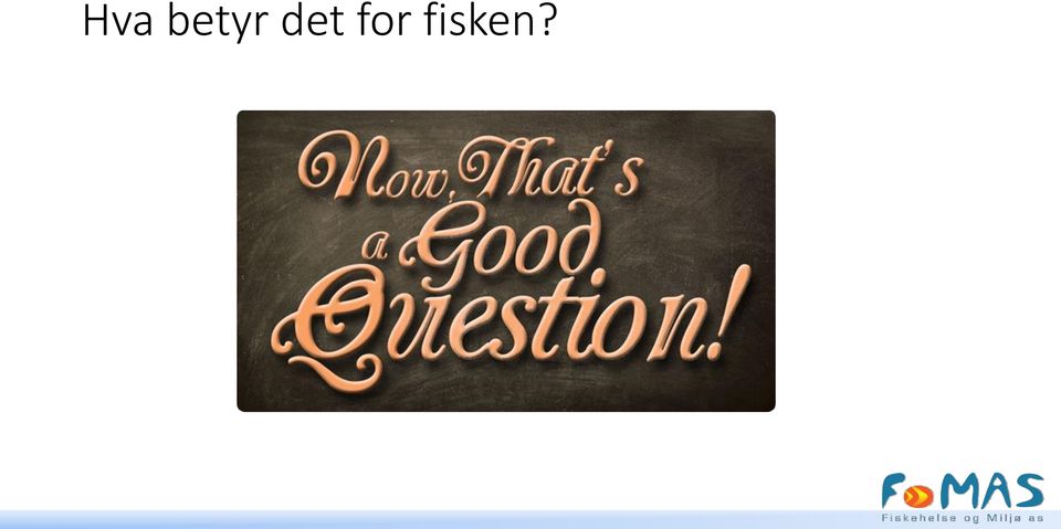 fisken?