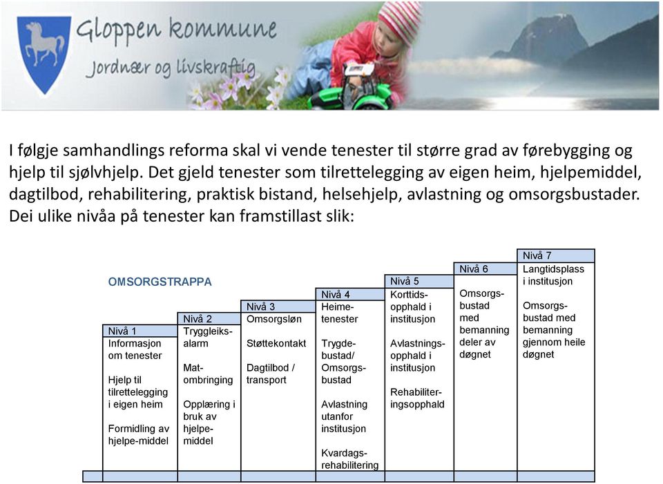 Dei ulike nivåa på tenester kan framstillast slik: Hjelp til tilrettelegging i eigen heim Formidling av hjelpe-middel Opplæring i bruk av hjelpemiddel Avlastning utanfor institusjon