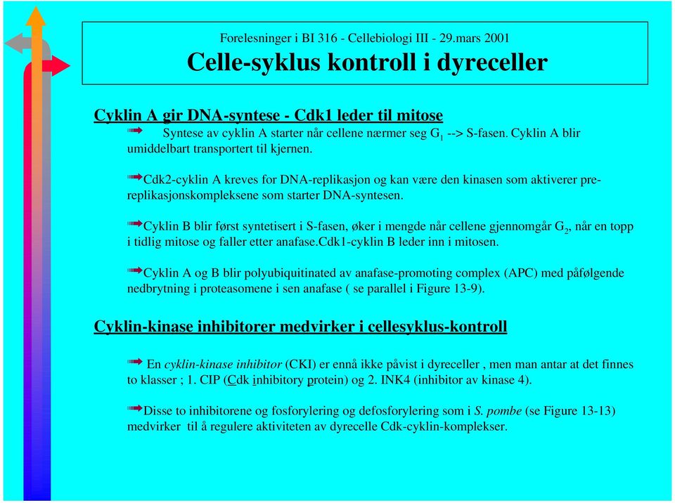 Cyklin B blir først syntetisert i S-fasen, øker i mengde når cellene gjennomgår G 2, når en topp i tidlig mitose og faller etter anafase.cdk1-cyklin B leder inn i mitosen.