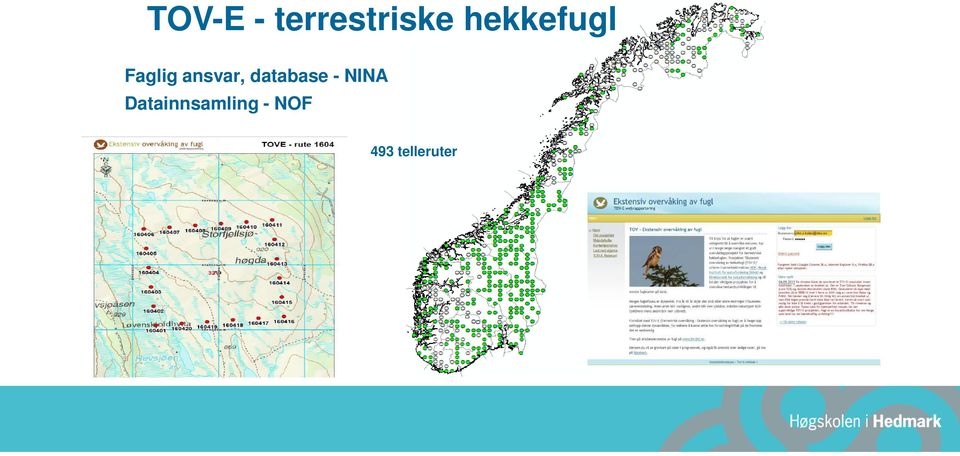 database - NINA