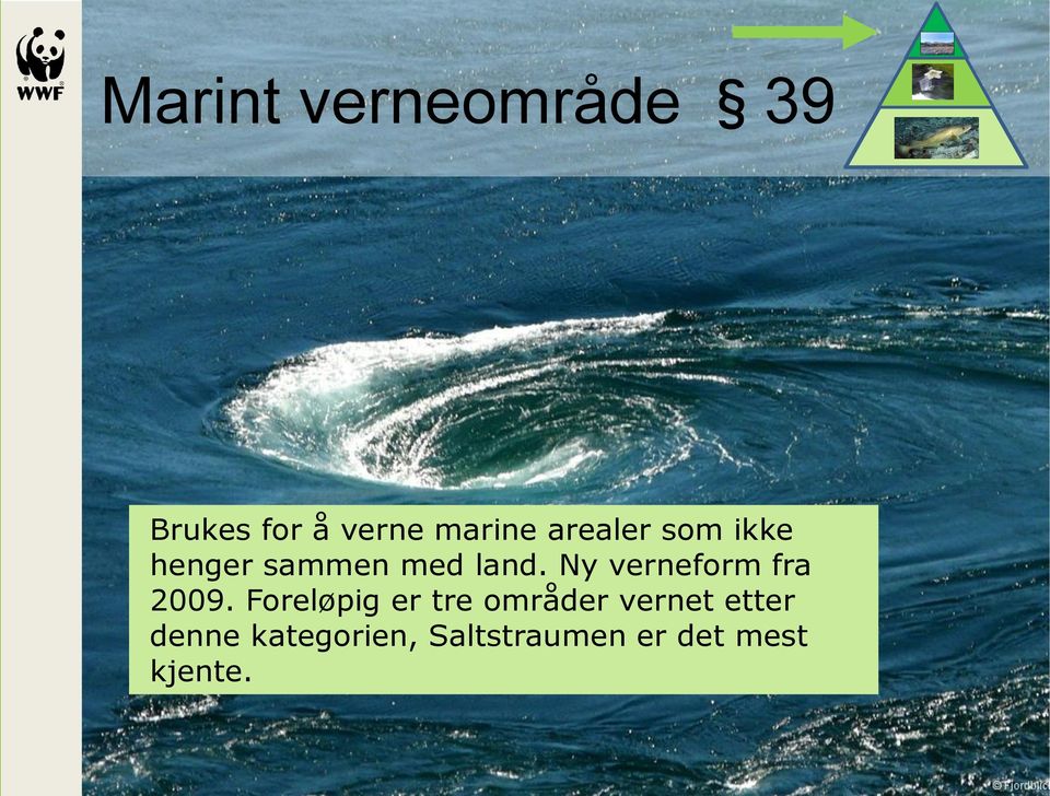 Ny verneform fra 2009.