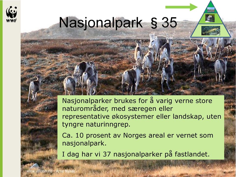 landskap, uten tyngre naturinngrep. Ca.