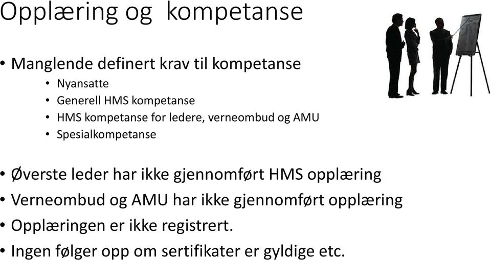 Øverste leder har ikke gjennomført HMS opplæring Verneombud og AMU har ikke