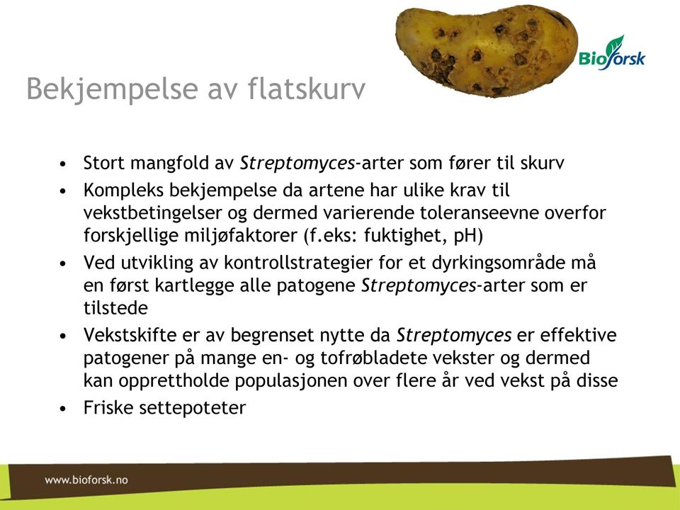 eks: fuktighet, ph) Ved utvikling av kontrollstrategier for et dyrkingsområde må en først kartlegge alle patogene Streptomyces-arter som er