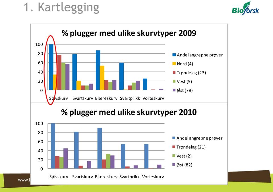 (23) Vest (5) Øst (79) 100 80 60 40 20 0 % plugger med ulike skurvtyper 2010 Andel