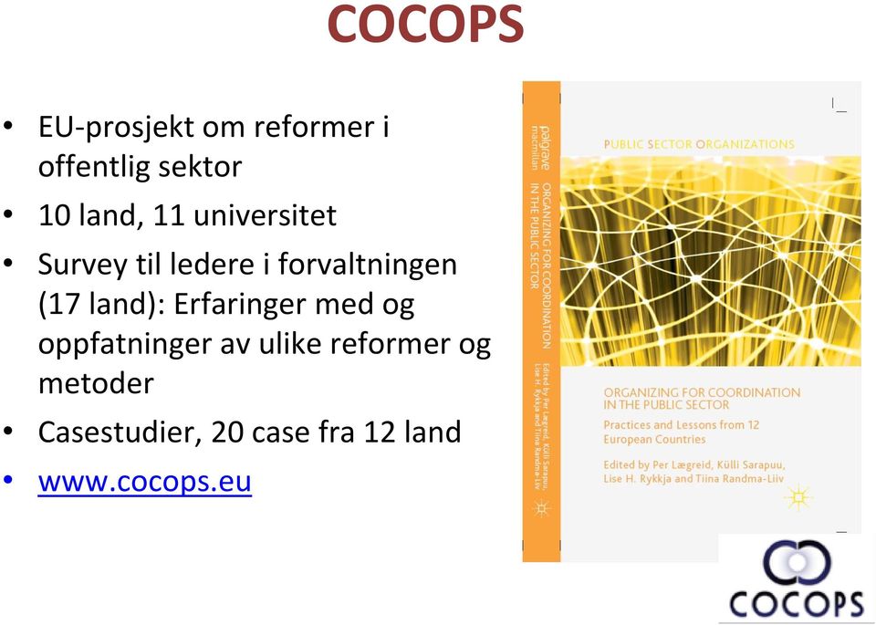 (17 land): Erfaringer med og oppfatninger av ulike